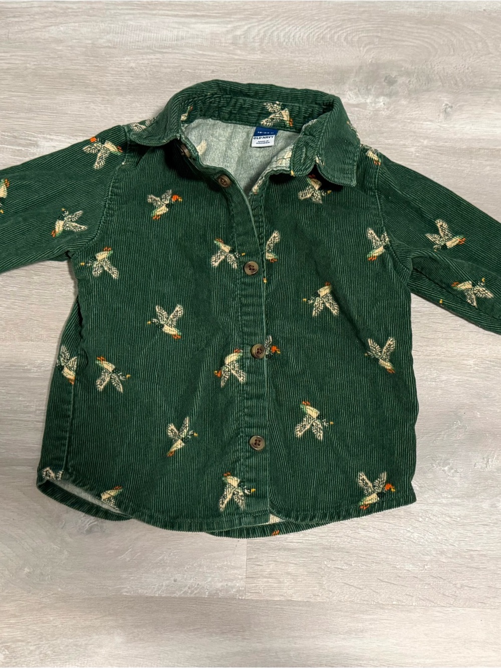 Old Navy Forest Green Corduroy Button-Down Shirt with Ducks! Size 18-24